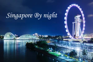 The illuminated Singapore Flyer and Marina Bay skyline at night, showcasing top places to visit in Singapore.