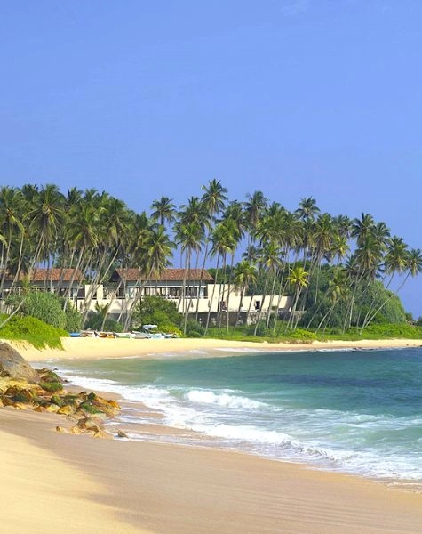 Scenic Bentota beach with palm trees, clear blue sea, and a beachfront resort showcasing Tour Operators in Bentota
