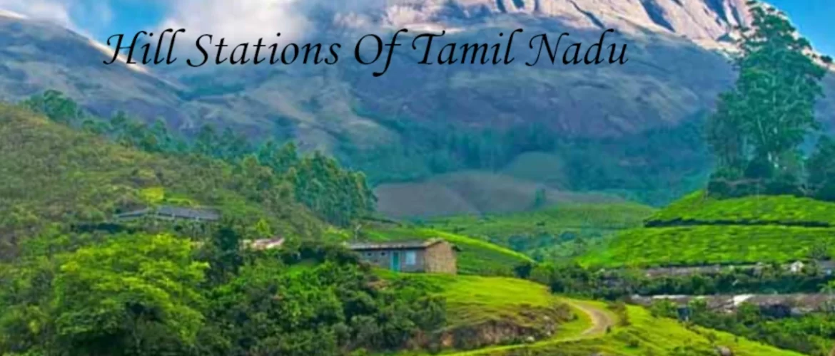 A scenic view of lush green tea plantations and misty mountains, showcasing the beautiful hill stations in Tamil Nadu