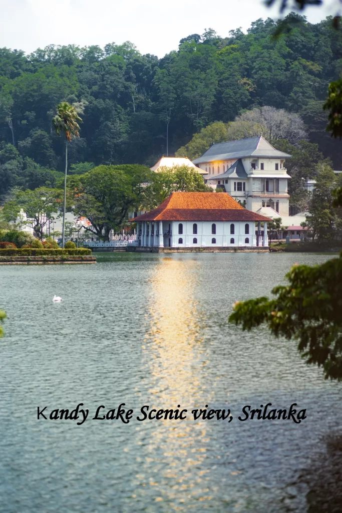 Scenic view of Kandy Lake surrounded by lush greenery for a Sri Lanka Honeymoon Itinerary