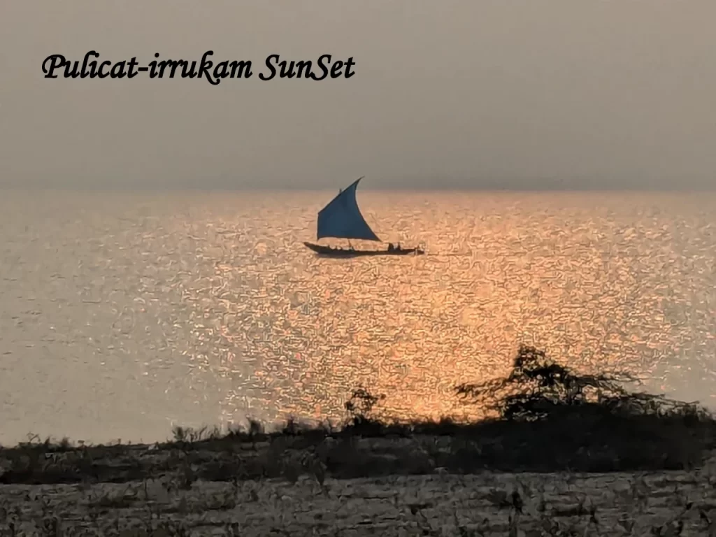 A traditional blue-sailed fishing boat gliding across the shimmering golden waters of Pulicat Lake during sunset, viewed from Irukam Island near Chennai.