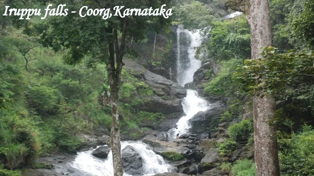 The cascading waters of Iruppu Falls hidden deep within the lush green forests of Coorg, Karnataka, perfect for nature-focused Indian travel.