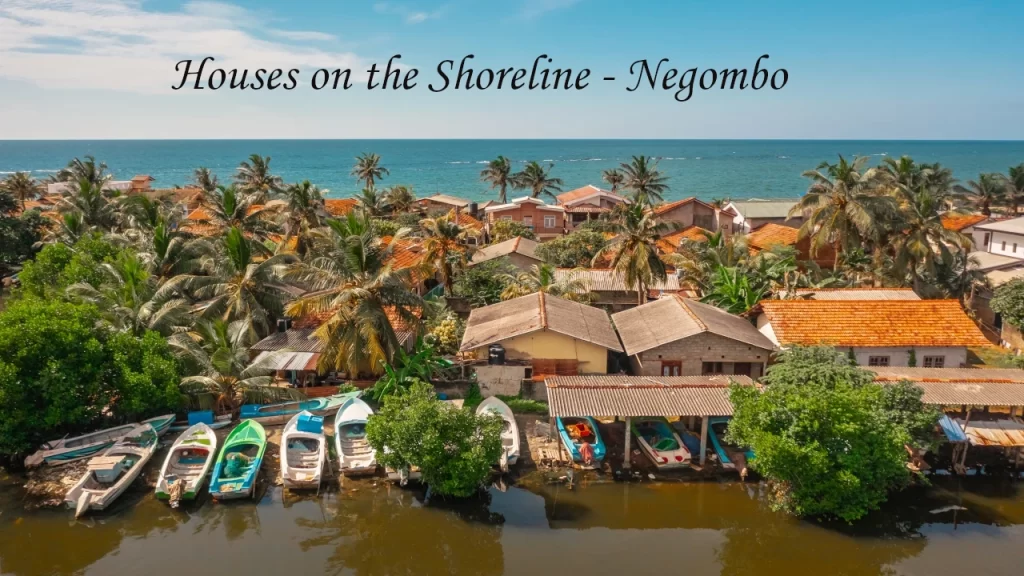 Aerial view of houses on the Negombo shoreline with colorful boats moored along the lagoon and palm trees lining the coast