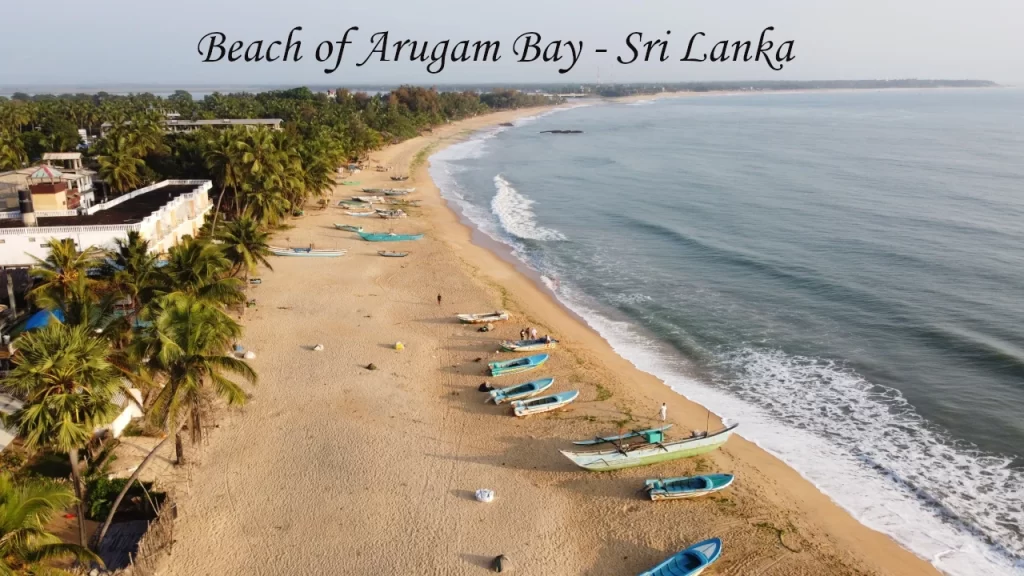 Aerial view of Arugam Bay beach with fishing boats and palm trees — home to world-class surf camps in Sri Lanka