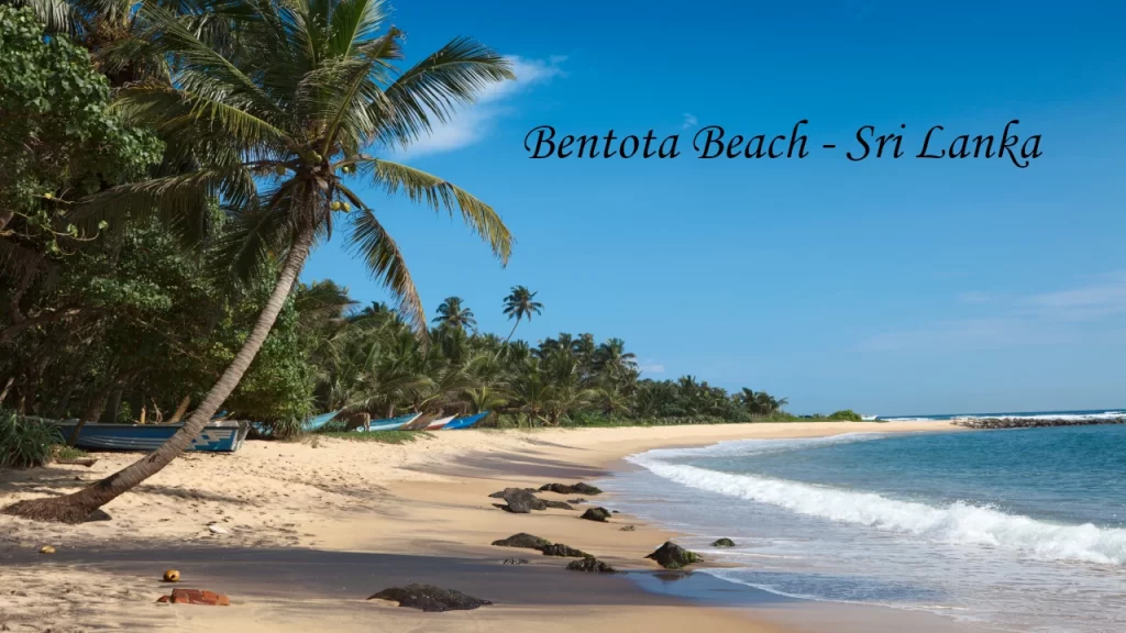 Pristine Bentota Beach in Sri Lanka with leaning coconut palms and calm blue waters — a serene destination wedding location in Asia