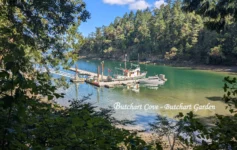 A scenic view through green trees of the boat dock at Butchart Garden Cove on Vancouver Island, British Columbia.
