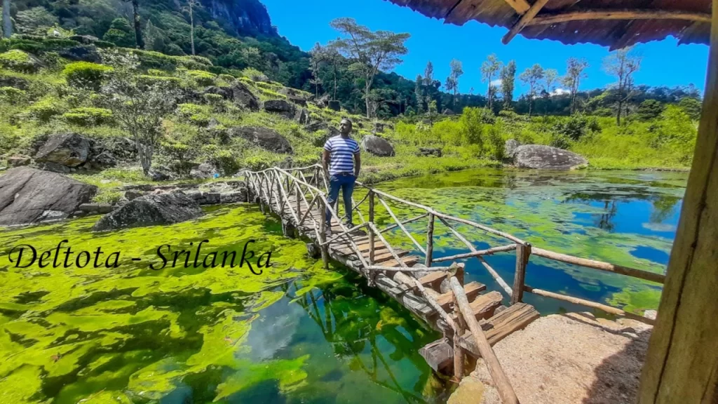 A man standing on a rustic wooden bridge over a moss-covered green pond in Deltota along the Pekoe Trail in Sri Lanka, surrounded by rocky hills and lush green tea estates