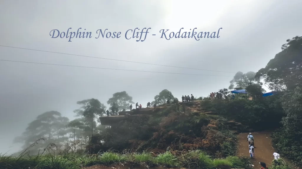 Tourists trekking along the misty Dolphin Nose Cliff trail in Kodaikanal, one of the most visited hill stations in Tamil Nadu