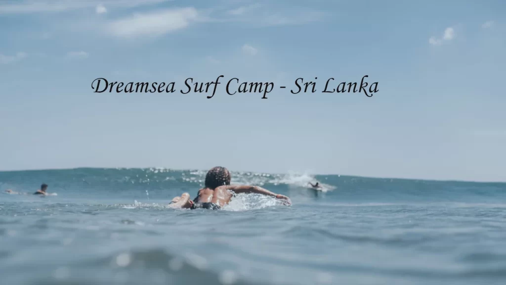 Surfer paddling out into ocean waves at Dreamsea Surf Camp in Sri Lanka