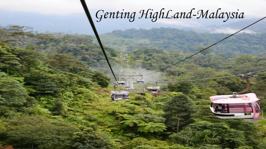 Pink and purple cable car cabins gliding over a misty, dense rainforest canopy in the Genting Highlands hill stations.