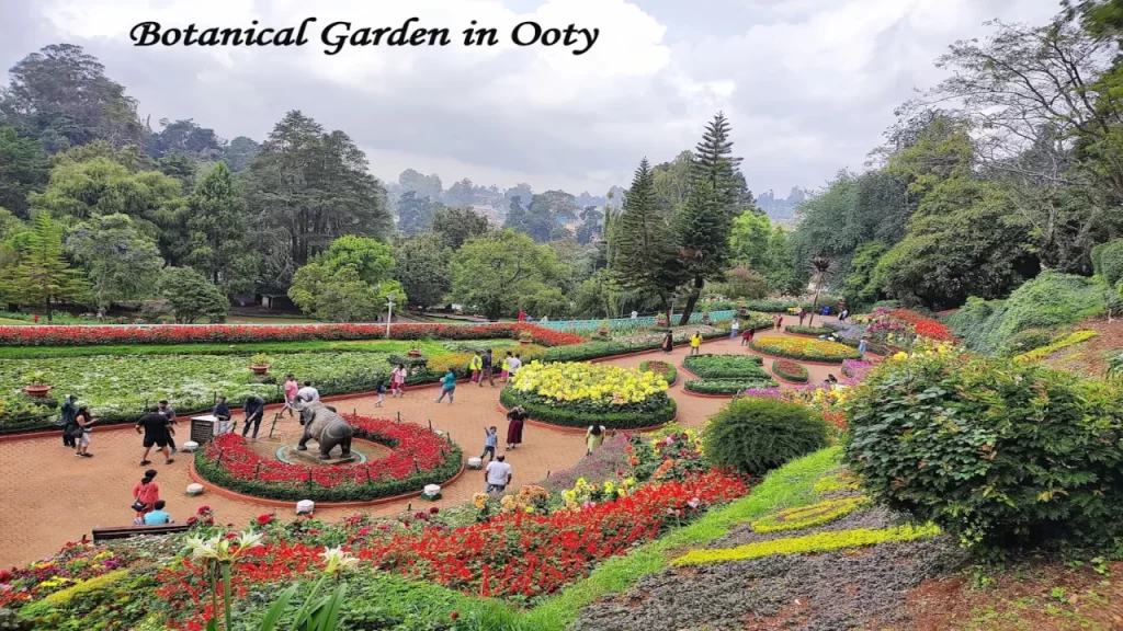Tourists walking through well-maintained pathways, manicured lawns, and vibrant flower beds at the Government Botanical Garden in Ooty.