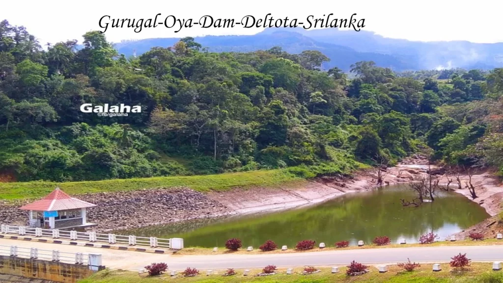 Scenic view of the Gurugal Oya Dam in Deltota along the Pekoe Trail in Sri Lanka, featuring a small pavilion, a reservoir pool, and lush green forested hills under a bright sky.