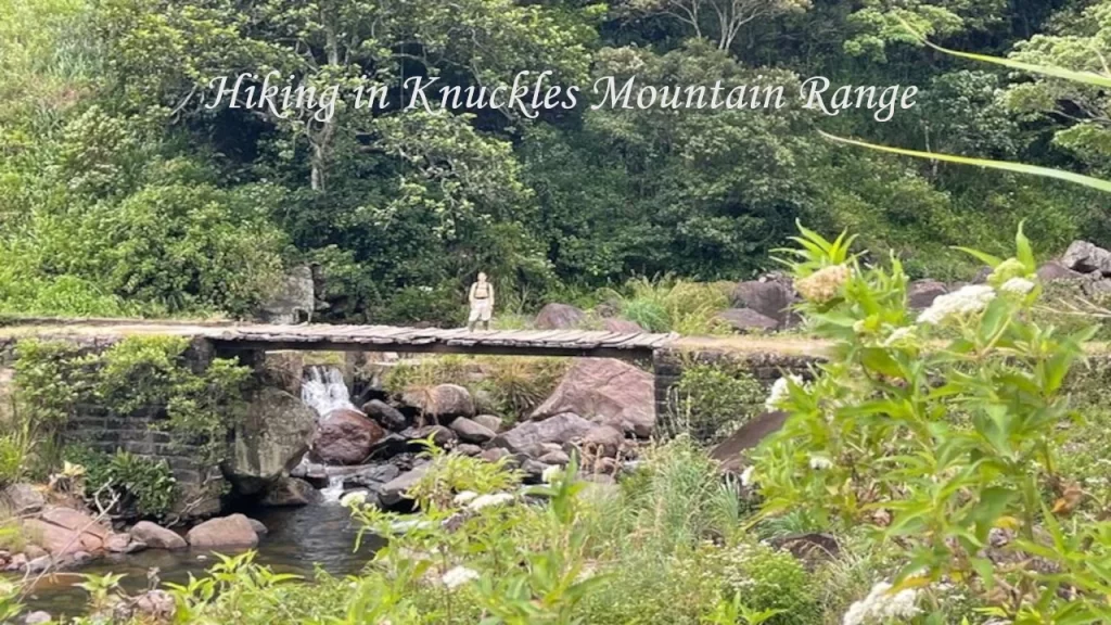 A lone hiker standing on a rustic wooden bridge crossing a rocky mountain stream inside the dense forests of the Knuckles Mountain Range.