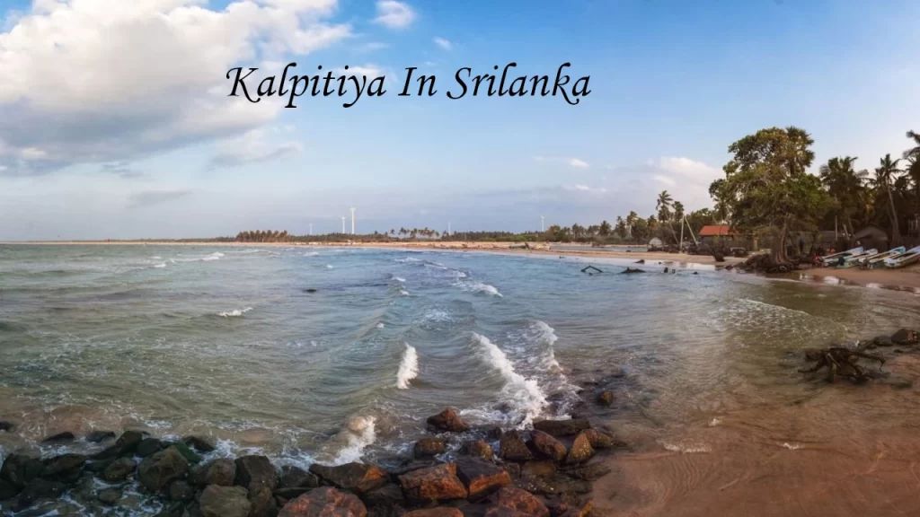 A scenic coastal view of a sandy beach and ocean waves in Kalpitiya, Sri Lanka, a popular destination for whale watching and dolphin tours.