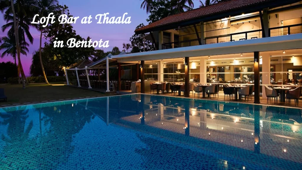 The illuminated pool and dining area at Loft Bar in Thaala Bentota, a premium choice among restaurants near Bentota.