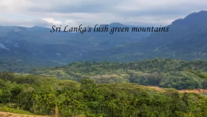 A wide panoramic vista of Sri Lanka's lush green mountains and misty valleys, showcasing the scenic landscapes found across various hill stations in Sri Lanka.