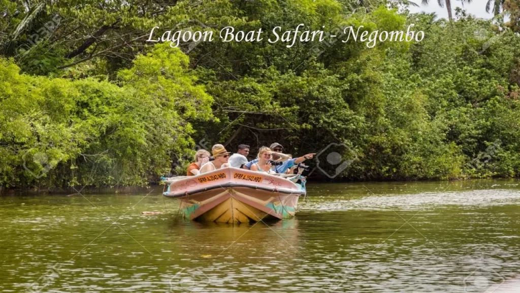 Tourists on a guided boat safari exploring the mangrove waterways of Negombo Lagoon in Sri Lanka