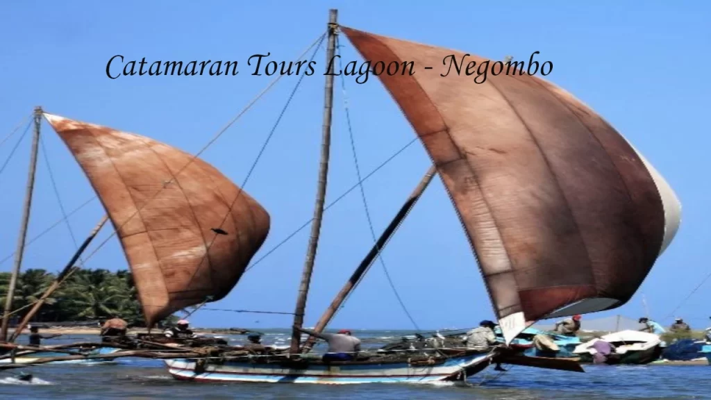 Traditional Sri Lankan outrigger catamarans with brown sails gliding across the Negombo Lagoon on a clear sunny day