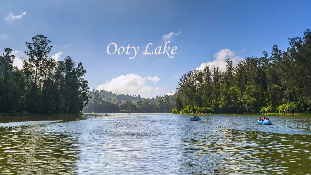 Tourists enjoying boating on the calm and scenic Ooty Lake surrounded by eucalyptus trees in Ooty, the Queen of Hill Stations in Tamil Nadu
