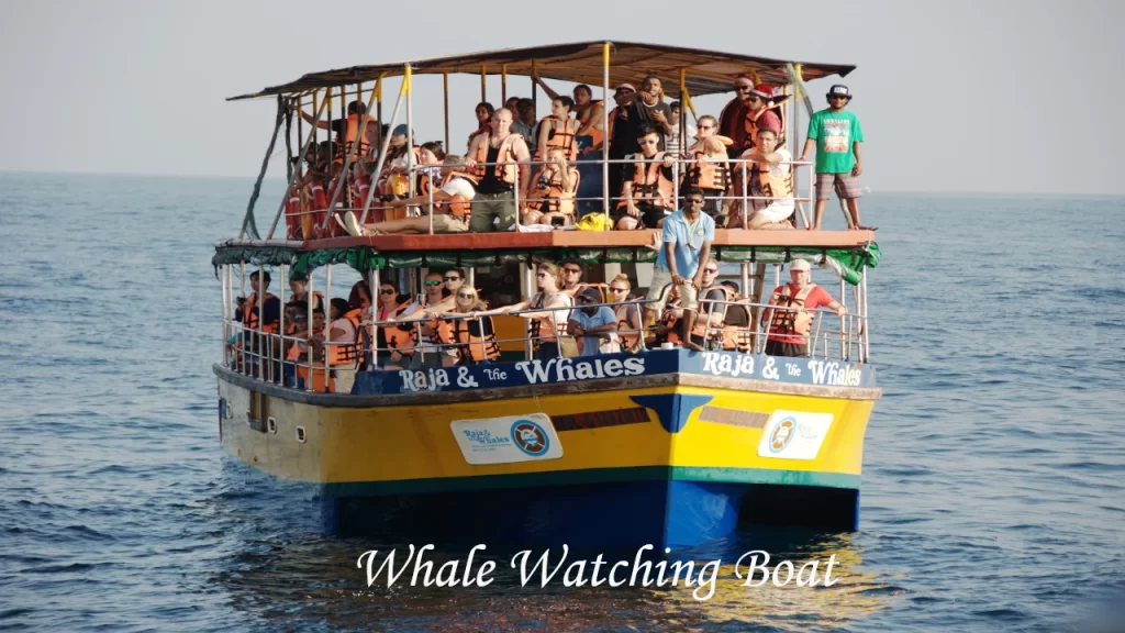 A double-decker tourist boat named Raja and the Whales filled with passengers wearing life jackets out on the ocean for a whale watching excursion