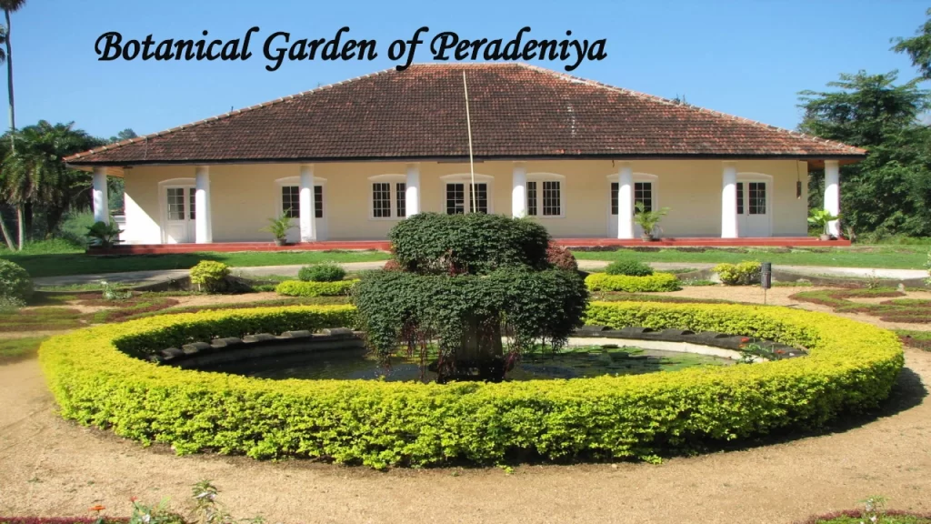 A single-story colonial-style building with white pillars and a tiled roof, fronted by a circular water fountain and manicured hedges at the Royal Botanical Gardens in Peradeniya.