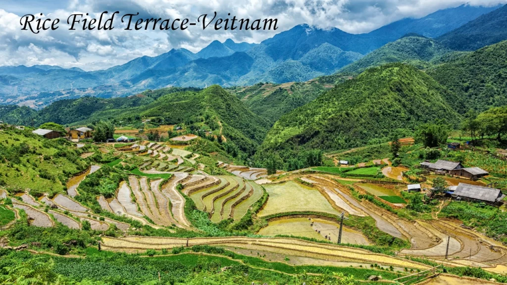 Scenic green rice field terraces layered across the mountains of Sapa, one of the most beautiful hill stations in Vietnam.