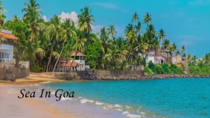 A tropical shore lined with leaning coconut palm trees and coastal homes next to the turquoise sea in Goa.