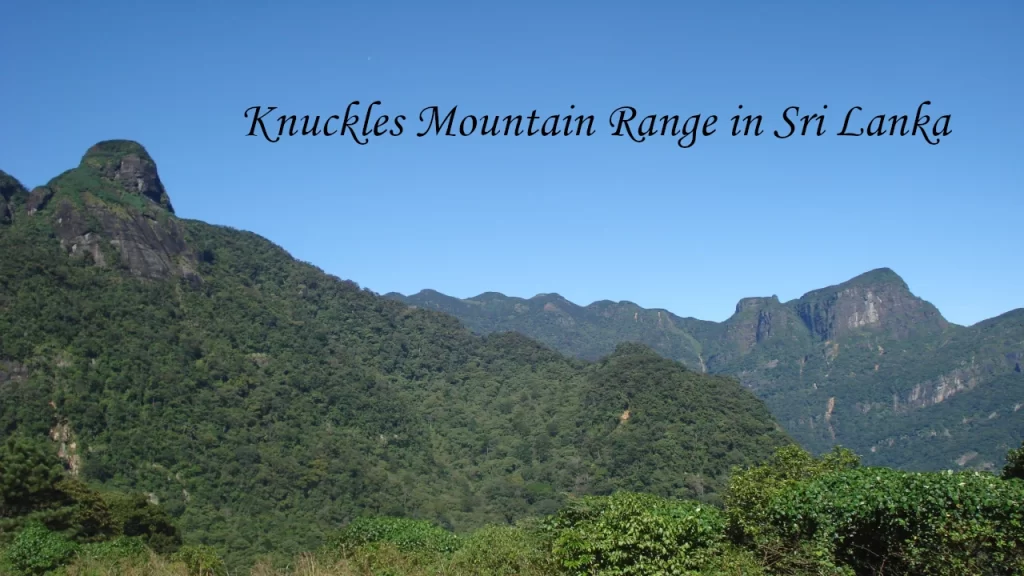 A wide panoramic landscape of the dramatic peaks and deep green valleys of the Knuckles Mountain Range under a clear blue sky.