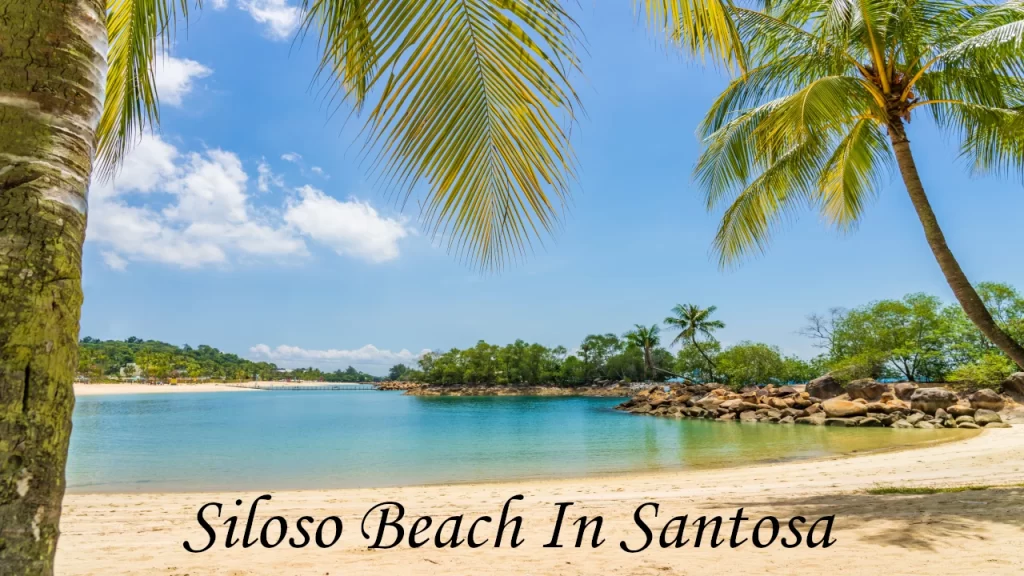 Vibrant green palm fronds framing a tranquil sandy beach cove with clear turquoise water and blue sky at Siloso Beach, highlighting relaxing places to visit in Singapore.
