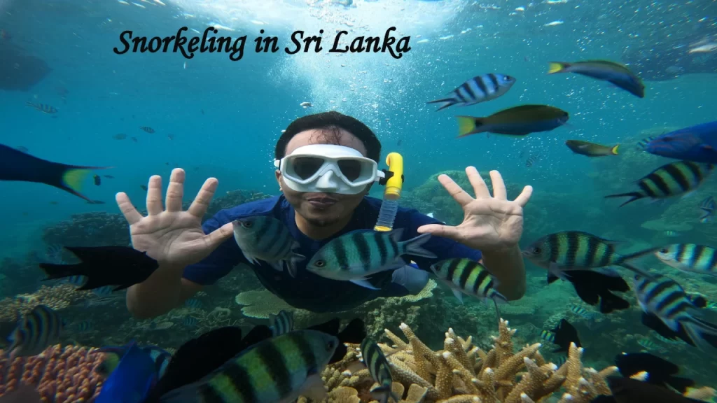 A man snorkeling underwater surrounded by colorful tropical fish, highlighting popular marine water sports in Sri Lanka.