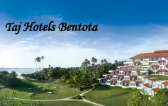 Bentota Sri Lanka Luxury beachfront wedding venue at a destination wedding hotel in Bentota, Sri Lanka with palm trees and ocean view