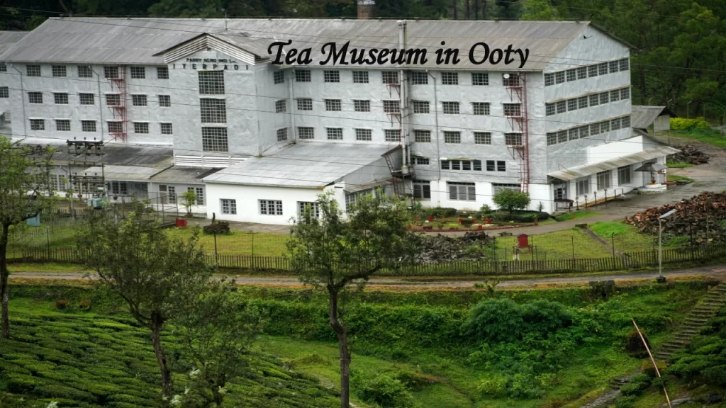 Large multi-story Tea Museum and factory building surrounded by lush green tea plantations in Ooty.