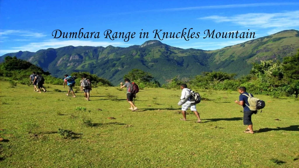 A group of hikers with backpacks trekking across a vibrant green grassy field toward the rugged peaks of the Dumbara Range in the Knuckles mountain region of Sri Lanka.