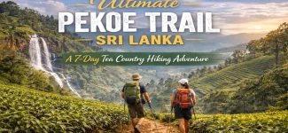 A blog banner graphic titled Ultimate Pekoe Trail Sri Lanka: A 7-Day Tea Country Hiking Adventure, featuring two hikers walking through a lush green tea plantation toward a waterfall.