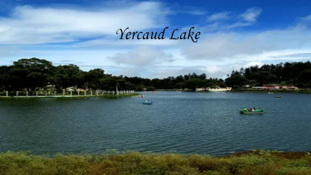 Visitors enjoying pedal boating on the tranquil Yercaud Lake in the Shevaroy Hills of Salem, a popular attraction at one of the budget-friendly hill stations in Tamil Nadu