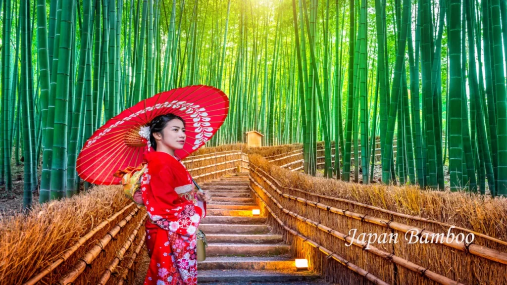 Woman in a traditional red kimono holding a parasol while walking up illuminated stone steps in Arashiyama Bamboo Grove, Kyoto.