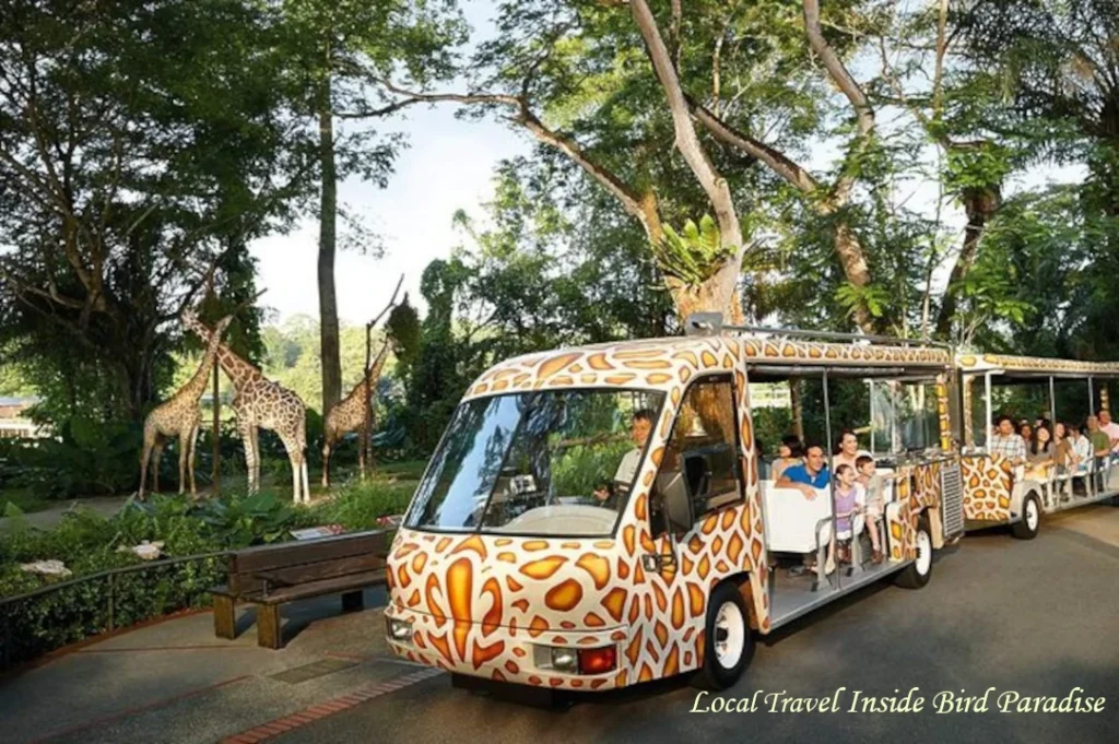 Passengers riding a giraffe-print shuttle tram along a pathway next to wildlife enclosures at Bird Paradise Singapore.