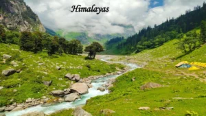 Indian Travel destination featuring the lush Himalayan valley with a flowing river, green meadows, pine forests, mountain peaks, and camping tents.