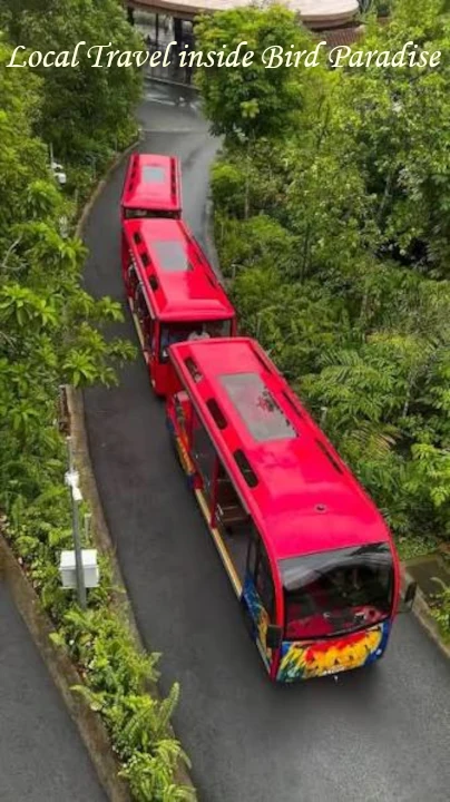 An overhead view of a long red shuttle tram transporting visitors along a paved path surrounded by lush greenery at Bird Paradise Singapore.