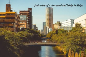 Scenic view of a river canal and bridge in Tokyo, a key highlight to consider when choosing Tokyo vs Osaka for a first-time Japan trip - Tokyo vs Osaka