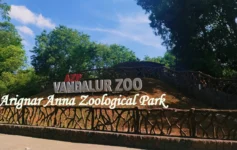 Main entrance sign of Vandalur Zoo Chennai at Arignar Anna Zoological Park surrounded by lush greenery and natural landscapes.
