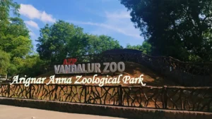 Main entrance sign of Vandalur Zoo Chennai at Arignar Anna Zoological Park surrounded by lush greenery and natural landscapes.