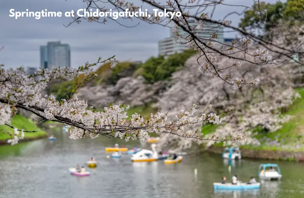 chidorigafuchitokyo tokyo tourist places