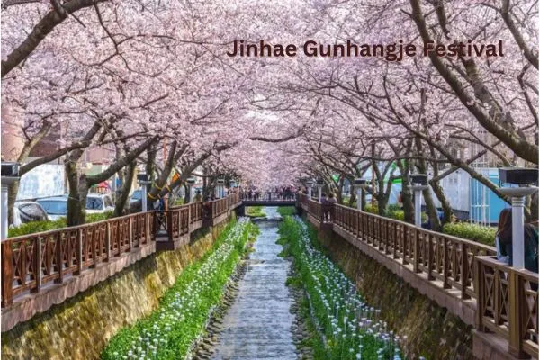 Places to visit in South Korea – Jinhae Gunhangje cherry blossom festival