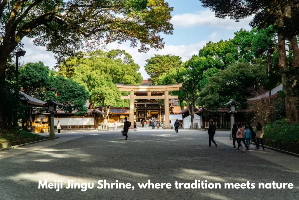 Meiji Jingu shrine, a peaceful Shinto site and one of the most visited Tokyo tourist places