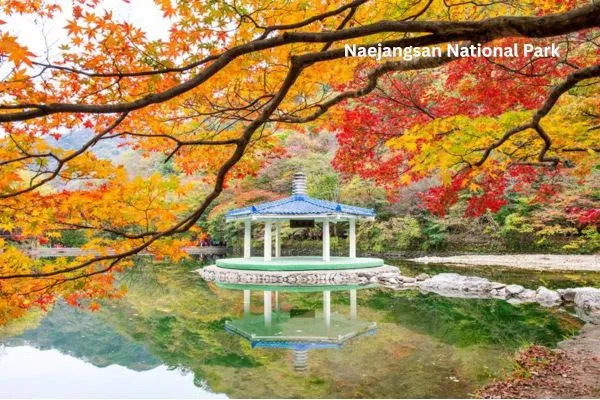 Places to visit in South Korea – Naejangsan National Park in autumn
