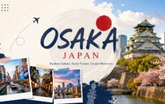 Osaka tourist places city skyline view