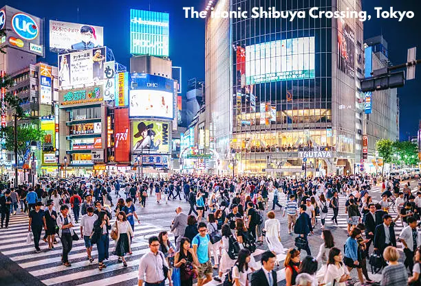 the iconic shibuya crossing tokyo tourist places