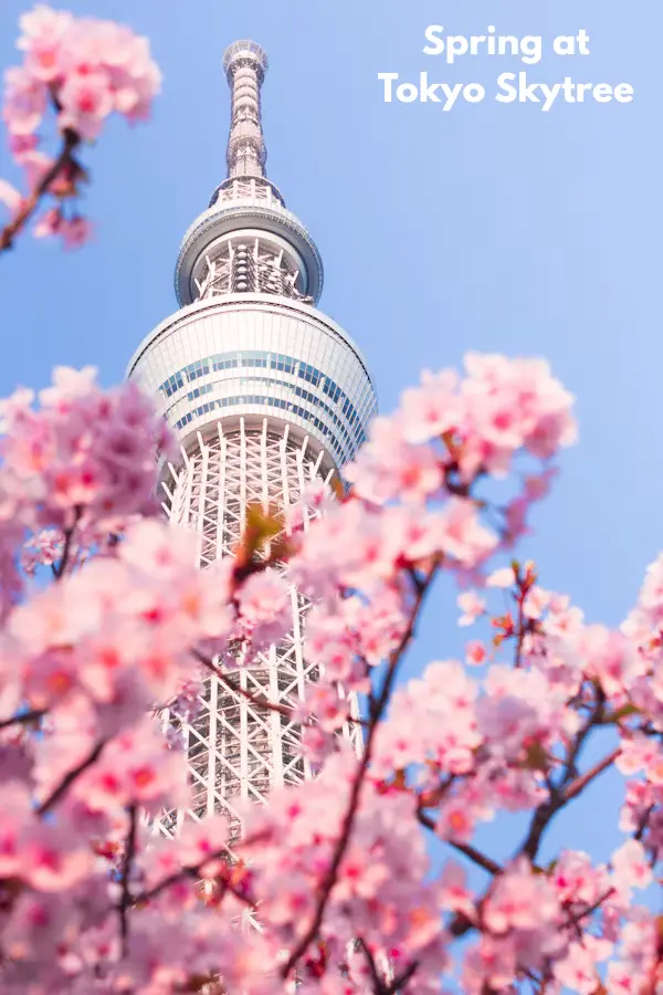 tokyoskytree tokyo tourist places