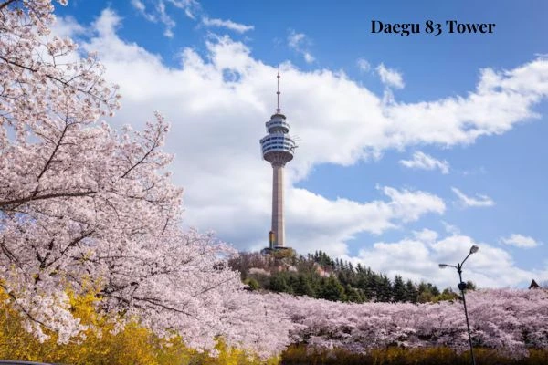 Daegu 83 Tower illuminated at E-World Duryu Park — one of the top 10 places you must visit in Daegu